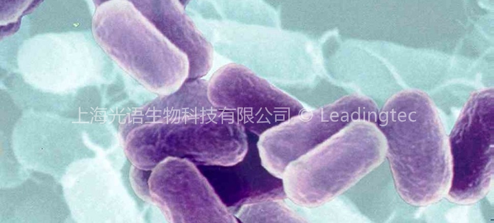 光合細(xì)菌 Photosynthetic Bacteria PSB