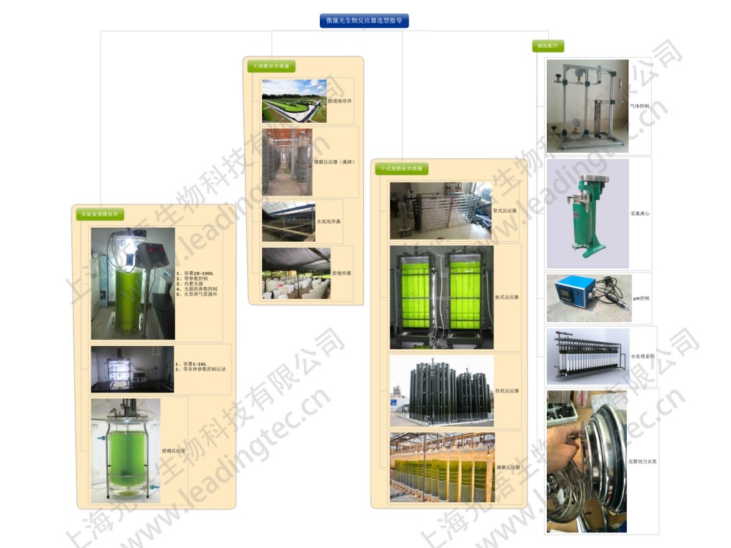 微藻光生物反應器選型指導