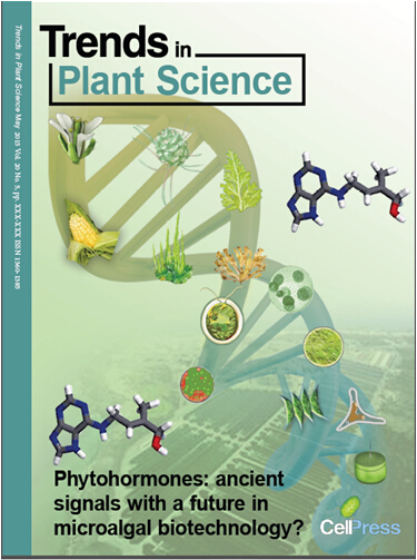 研究成果作為封面文章發(fā)表于Trends in Plant Science