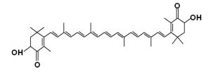 圖7. 蝦青素化學分子結(jié)構式（其中一種）