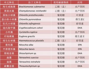 表2. 可異養(yǎng)微藻種類及應(yīng)用