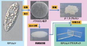 圖18. 日本產(chǎn)業(yè)技術綜合研究所、NEC公司與宮崎大學等單位聯(lián)合開發(fā)了利用裸藻生產(chǎn)生物塑料的技術。