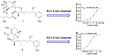 Dose?response study of neo-debromoaplysiatoxin A (1) and B (2) with Kv1.5 expression in CHO cells