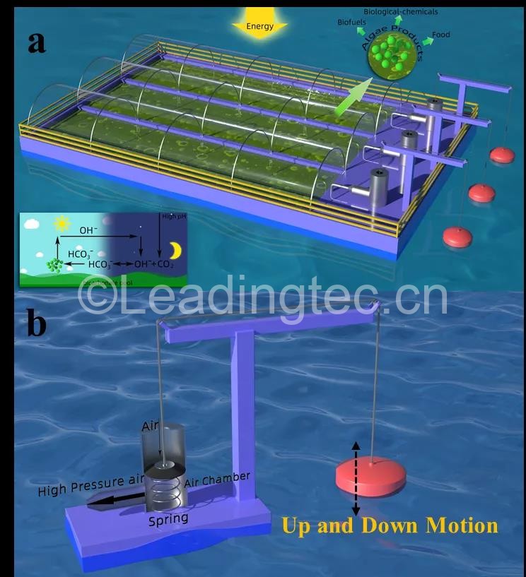 波浪能驅(qū)動的高效海洋微藻農(nóng)場