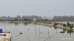 海水池塘生態(tài)修復(fù)