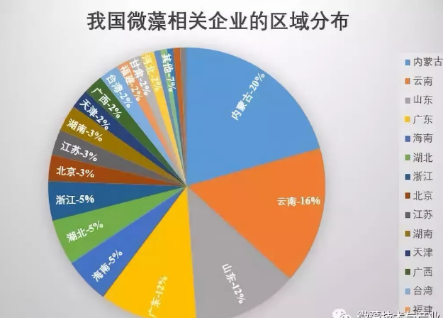 我國(guó)微藻企業(yè)及產(chǎn)業(yè)的最新分布概況