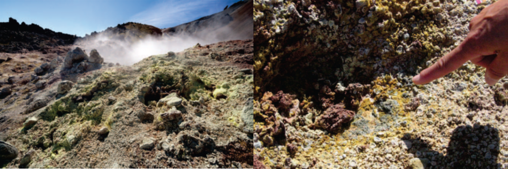 位于冰島東南部Hekla的Landmannalaugar（蘭德曼納勞卡高地），為歐洲著名的溫泉區(qū)域。該處分離得到的為G. sulphararia和G. maxima。